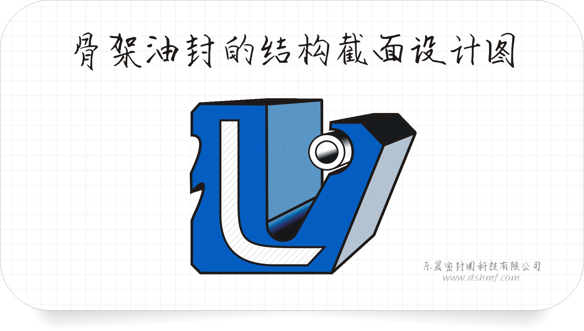 油封截面設(shè)計(jì)3D立體圖2